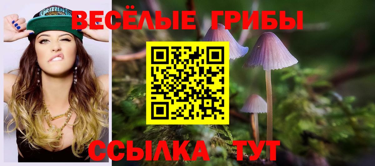 Псилоцибиновые грибы MAGIC MUSHROOMS Сертолово